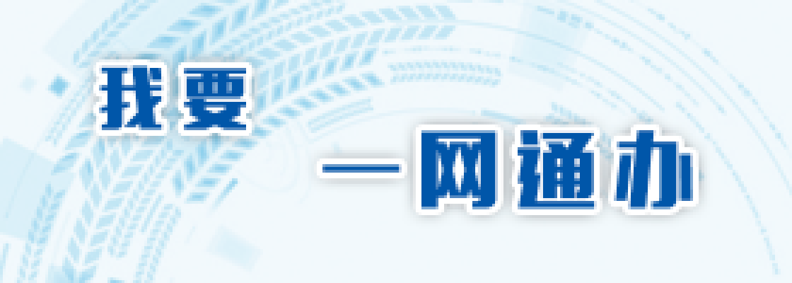 我要一网通办